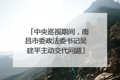 中央巡视期间，南昌市委政法委书记吴建平主动交代问题