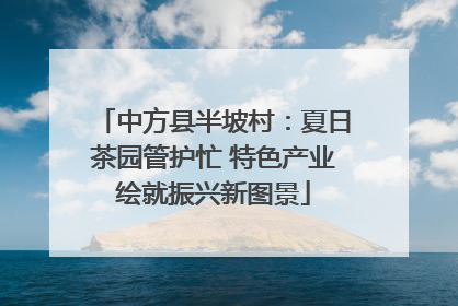 中方县半坡村：夏日茶园管护忙 特色产业绘就振兴新图景