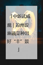 中新武威观｜凉州设施蔬菜种出好“丰”景