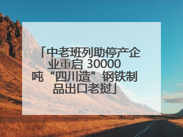 中老班列助停产企业重启 30000吨“四川造”钢铁制品出口老挝