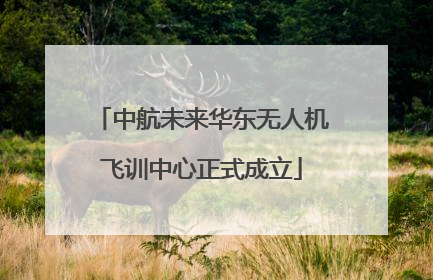 中航未来华东无人机飞训中心正式成立