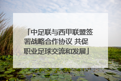 中足联与西甲联盟签署战略合作协议 共促职业足球交流和发展
