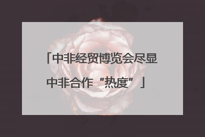 中非经贸博览会尽显中非合作“热度”