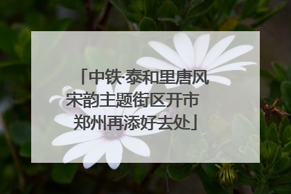中铁·泰和里唐风宋韵主题街区开市 郑州再添好去处