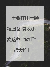 丰收在田→颗粒归仓 夏收小麦这些“助手”帮大忙