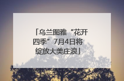 乌兰图雅“花开四季”7月4日将绽放大美庄浪