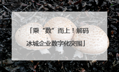 乘“数”而上！解码冰城企业数字化突围