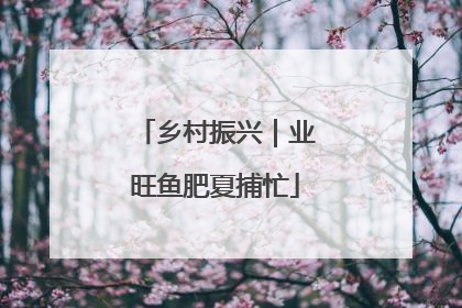 乡村振兴｜业旺鱼肥夏捕忙