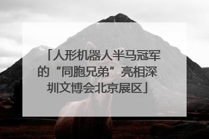 人形机器人半马冠军的“同胞兄弟”亮相深圳文博会北京展区