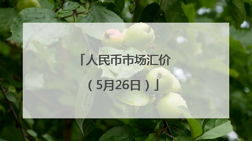 人民币市场汇价（5月26日）