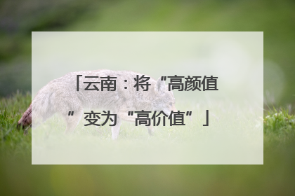 云南：将“高颜值”变为“高价值”