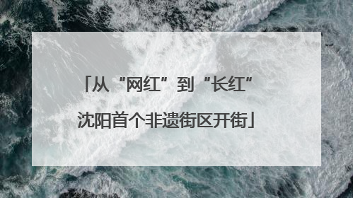 从“网红”到“长红” 沈阳首个非遗街区开街