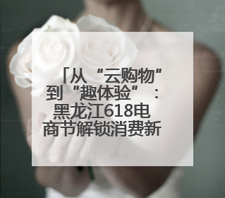 从“云购物”到“趣体验”：黑龙江618电商节解锁消费新玩法