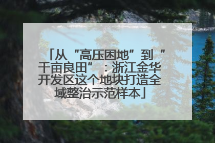 从“高压困地”到“千亩良田”：浙江金华开发区这个地块打造全域整治示范样本