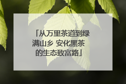 从万里茶道到绿满山乡 安化黑茶的生态致富路