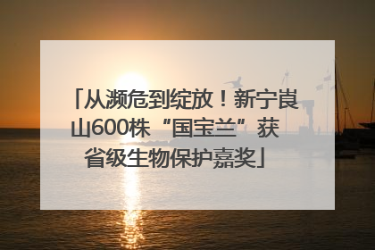 从濒危到绽放！新宁崀山600株“国宝兰”获省级生物保护嘉奖