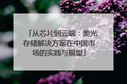 从芯片到云端：美光存储解决方案在中国市场的实践与展望