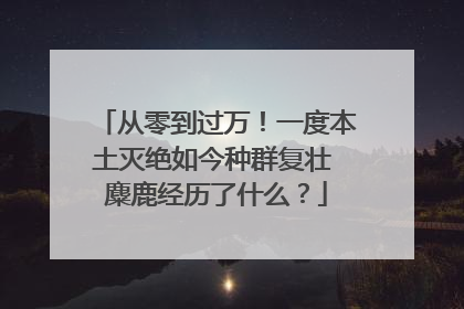 从零到过万！一度本土灭绝如今种群复壮 麋鹿经历了什么？