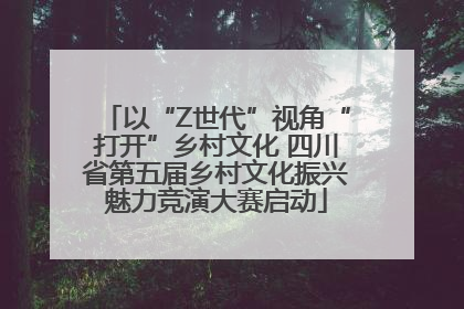 以“Z世代”视角“打开”乡村文化 四川省第五届乡村文化振兴魅力竞演大赛启动