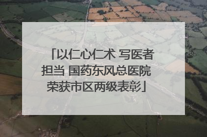 以仁心仁术 写医者担当 国药东风总医院荣获市区两级表彰