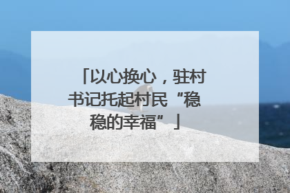 以心换心，驻村书记托起村民“稳稳的幸福”