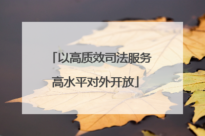 以高质效司法服务高水平对外开放