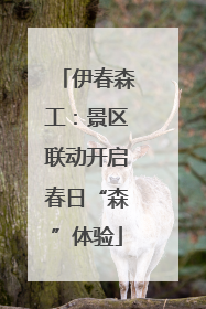 伊春森工：景区联动开启春日“森”体验