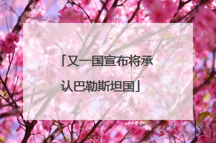 又一国宣布将承认巴勒斯坦国