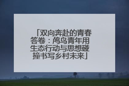 双向奔赴的青春答卷：鸬鸟青年用生态行动与思想碰撞书写乡村未来
