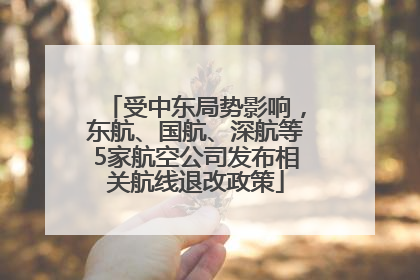 受中东局势影响，东航、国航、深航等5家航空公司发布相关航线退改政策