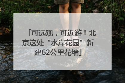 可远观，可近游！北京这处“水岸花园”新建62公里花墙