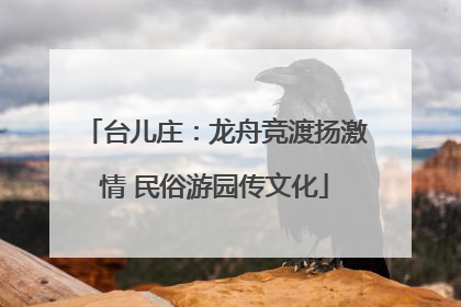 台儿庄：龙舟竞渡扬激情 民俗游园传文化