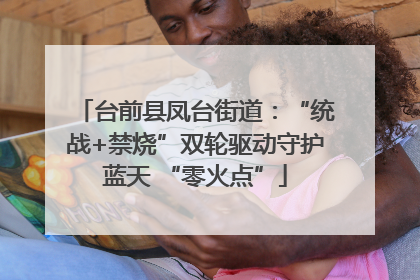 台前县凤台街道：“统战+禁烧”双轮驱动守护蓝天 “零火点”