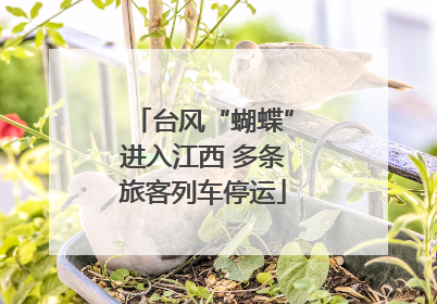 台风“蝴蝶”进入江西 多条旅客列车停运