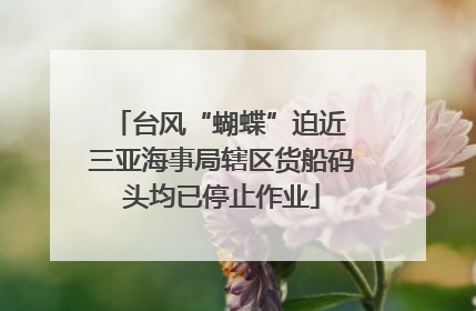 台风“蝴蝶”迫近 三亚海事局辖区货船码头均已停止作业