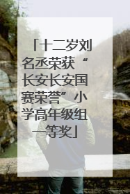 十二岁刘名丞荣获“长安长安国赛荣誉”小学高年级组一等奖