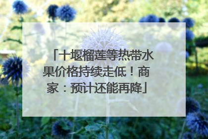 十堰榴莲等热带水果价格持续走低！商家：预计还能再降