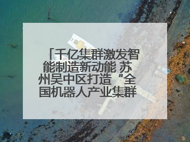 千亿集群激发智能制造新动能 苏州吴中区打造“全国机器人产业集群第一区”