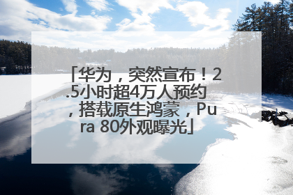 华为，突然宣布！2.5小时超4万人预约，搭载原生鸿蒙，Pura 80外观曝光