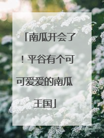 南瓜开会了！平谷有个可可爱爱的南瓜王国