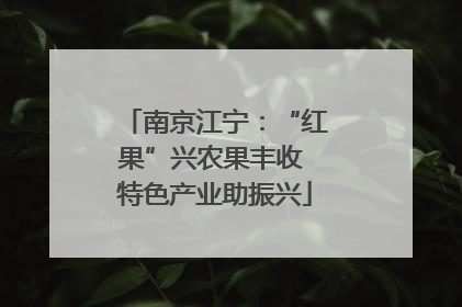 南京江宁：“红果”兴农果丰收 特色产业助振兴
