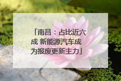 南昌：占比近六成 新能源汽车成为报废更新主力