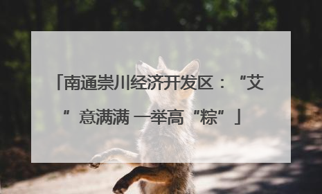 南通崇川经济开发区：“艾”意满满 一举高“粽”
