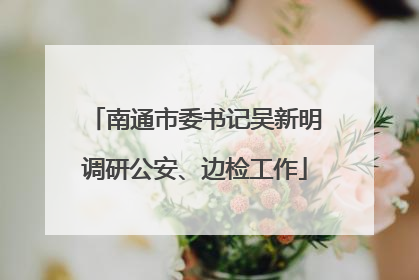 南通市委书记吴新明调研公安、边检工作