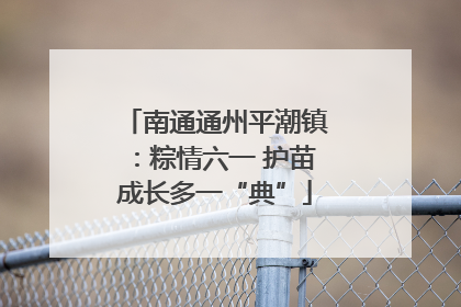 南通通州平潮镇：粽情六一 护苗成长多一“典”
