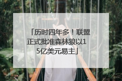 历时四年多！联盟正式批准森林狼以15亿美元易主