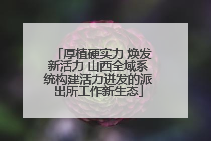 厚植硬实力 焕发新活力 山西全域系统构建活力迸发的派出所工作新生态