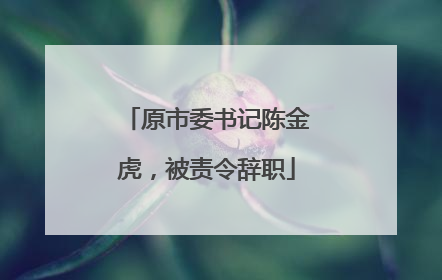 原市委书记陈金虎，被责令辞职