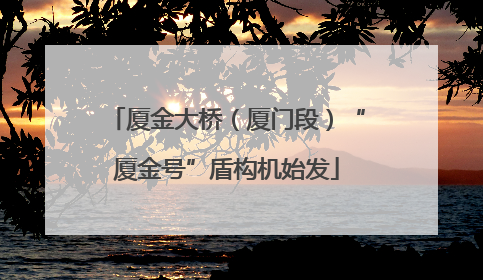 厦金大桥（厦门段）“厦金号”盾构机始发
