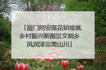 厦门同安莲花镇绘就乡村振兴新图景文明乡风润泽富美山川